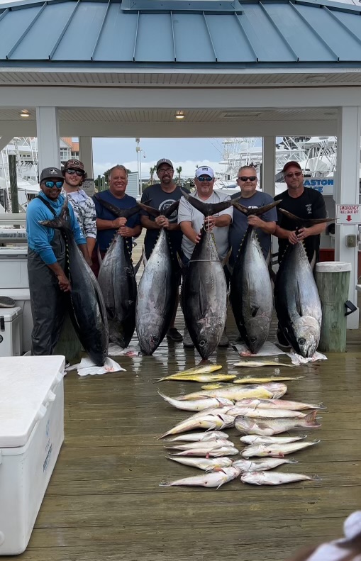 That’s A Lot of Bigeyes