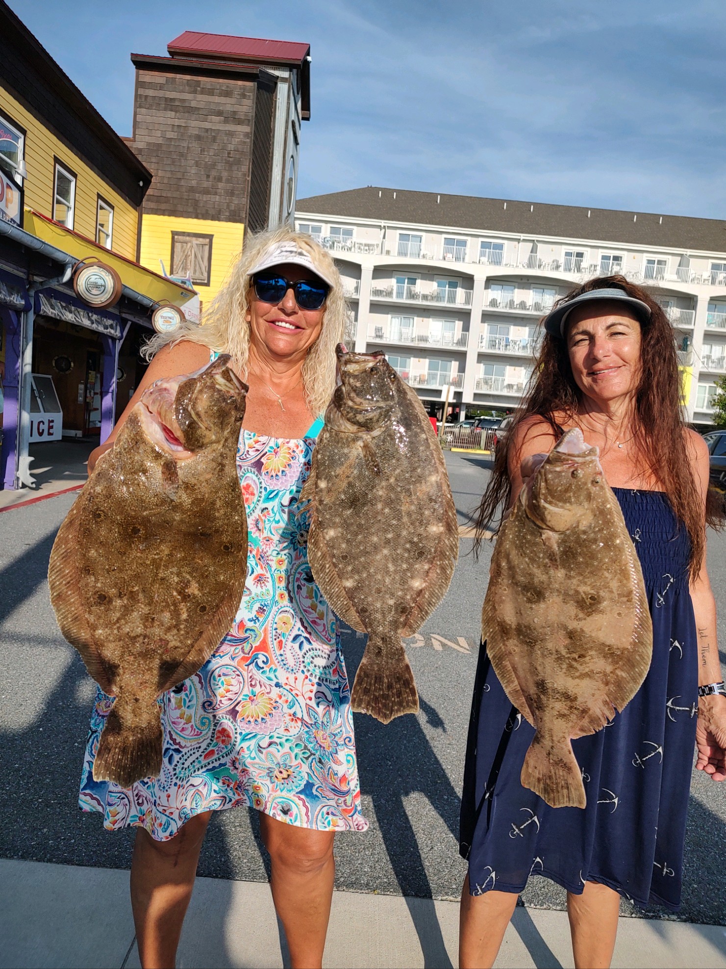 Nice Flounder and Sea Bass
