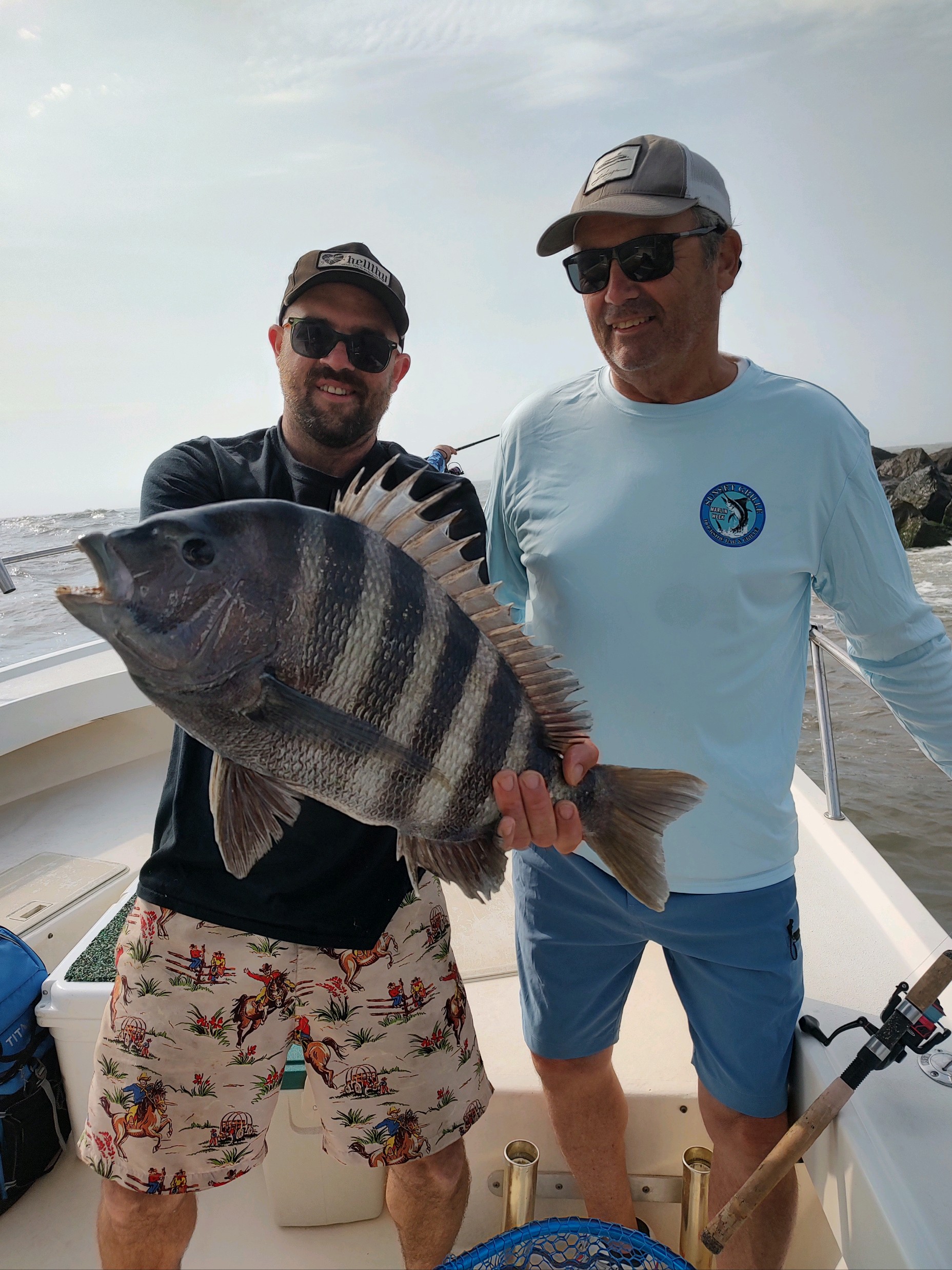 Some Nice Sheepshead Showing Up