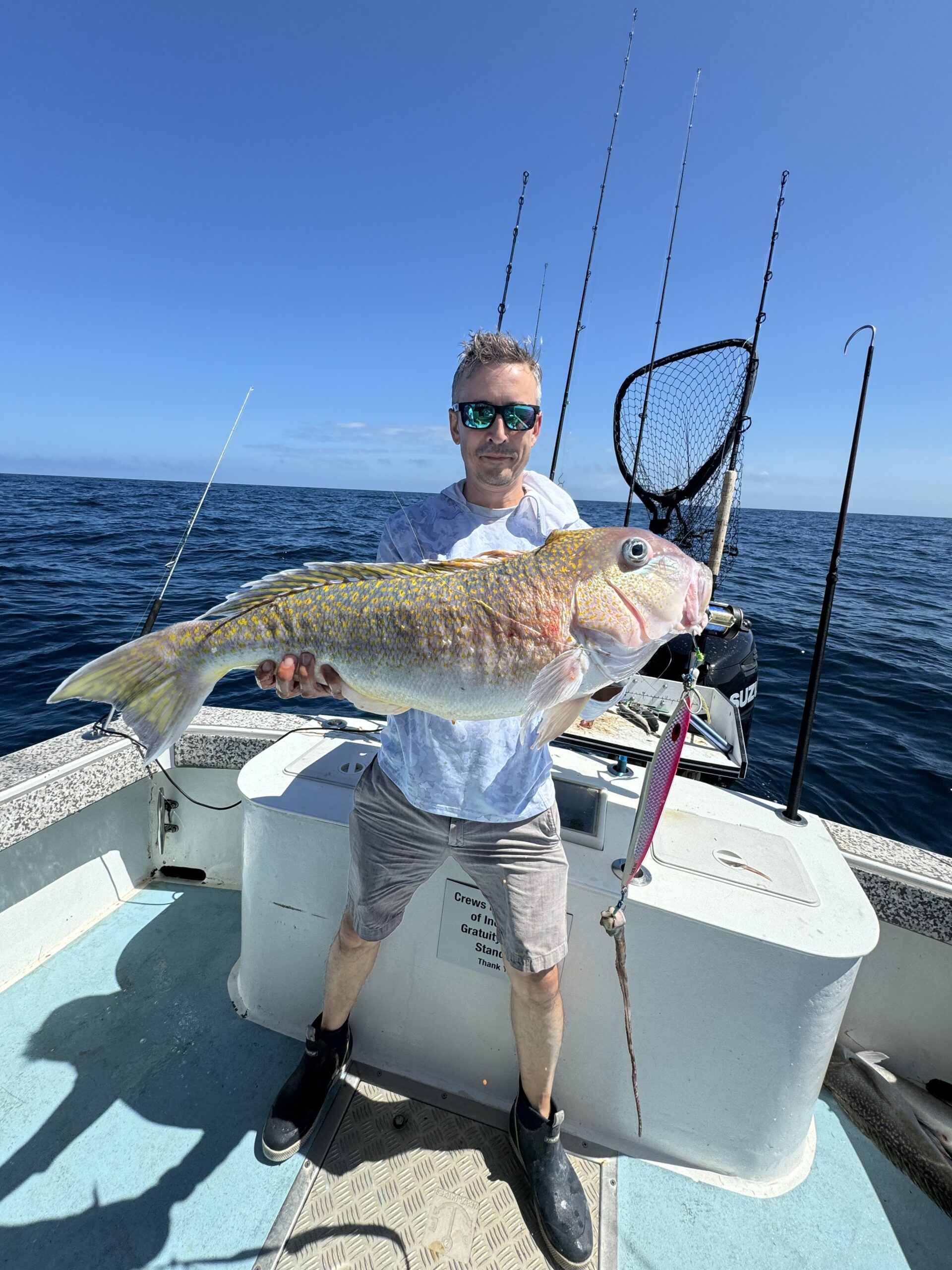 Blues, Whites, Black Bellies and Goldens