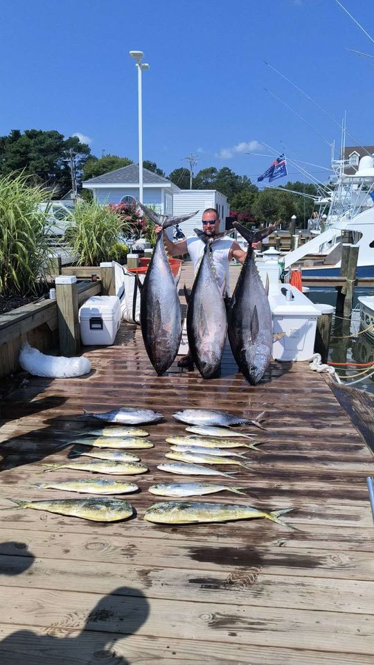 Tunas, Mahi and Marlin Offshore