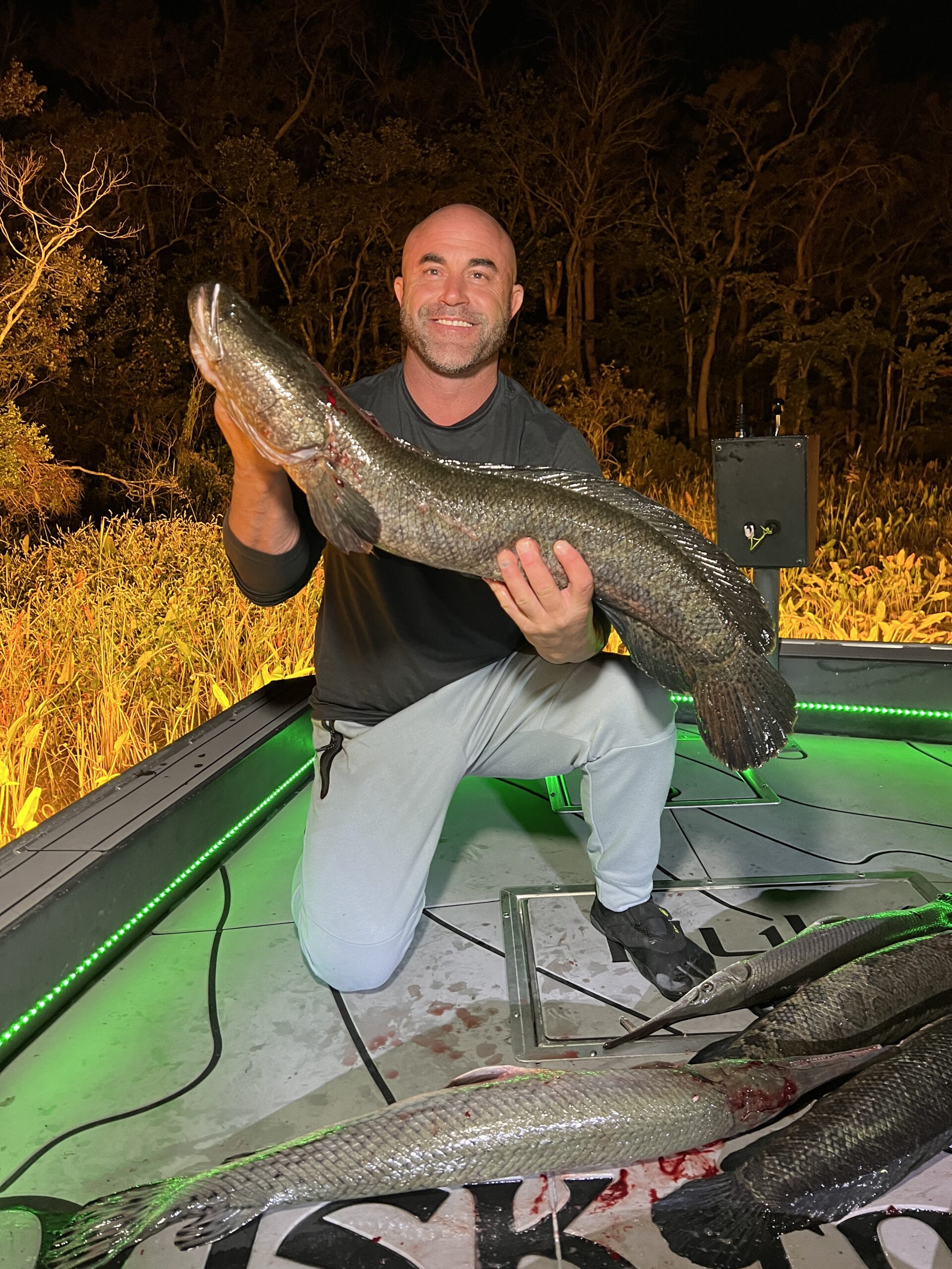 Snakeheads On The River