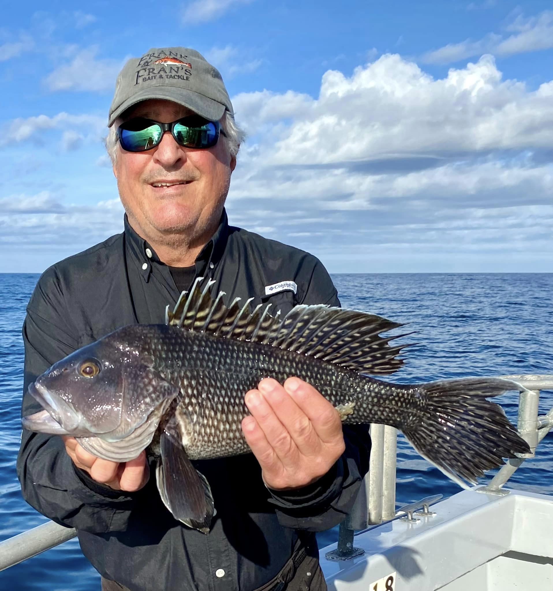 Big Sea Bass on the Wrecks