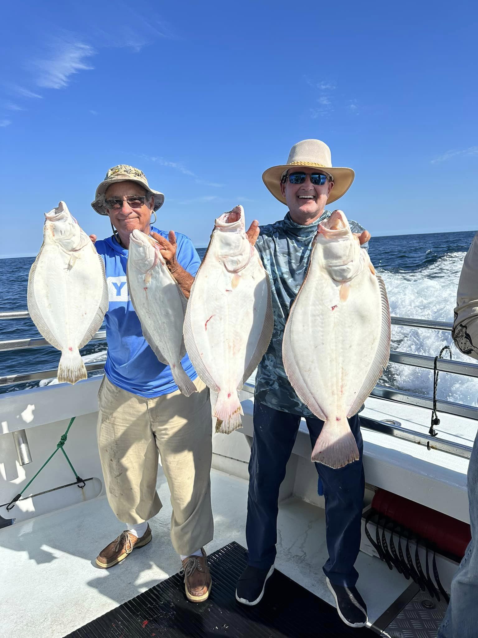 Some Decent Catching During the Sea Bass Closure