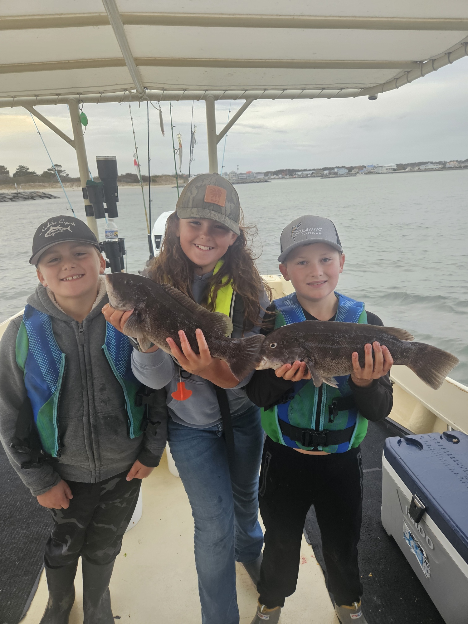 Plenty of Tautog Around