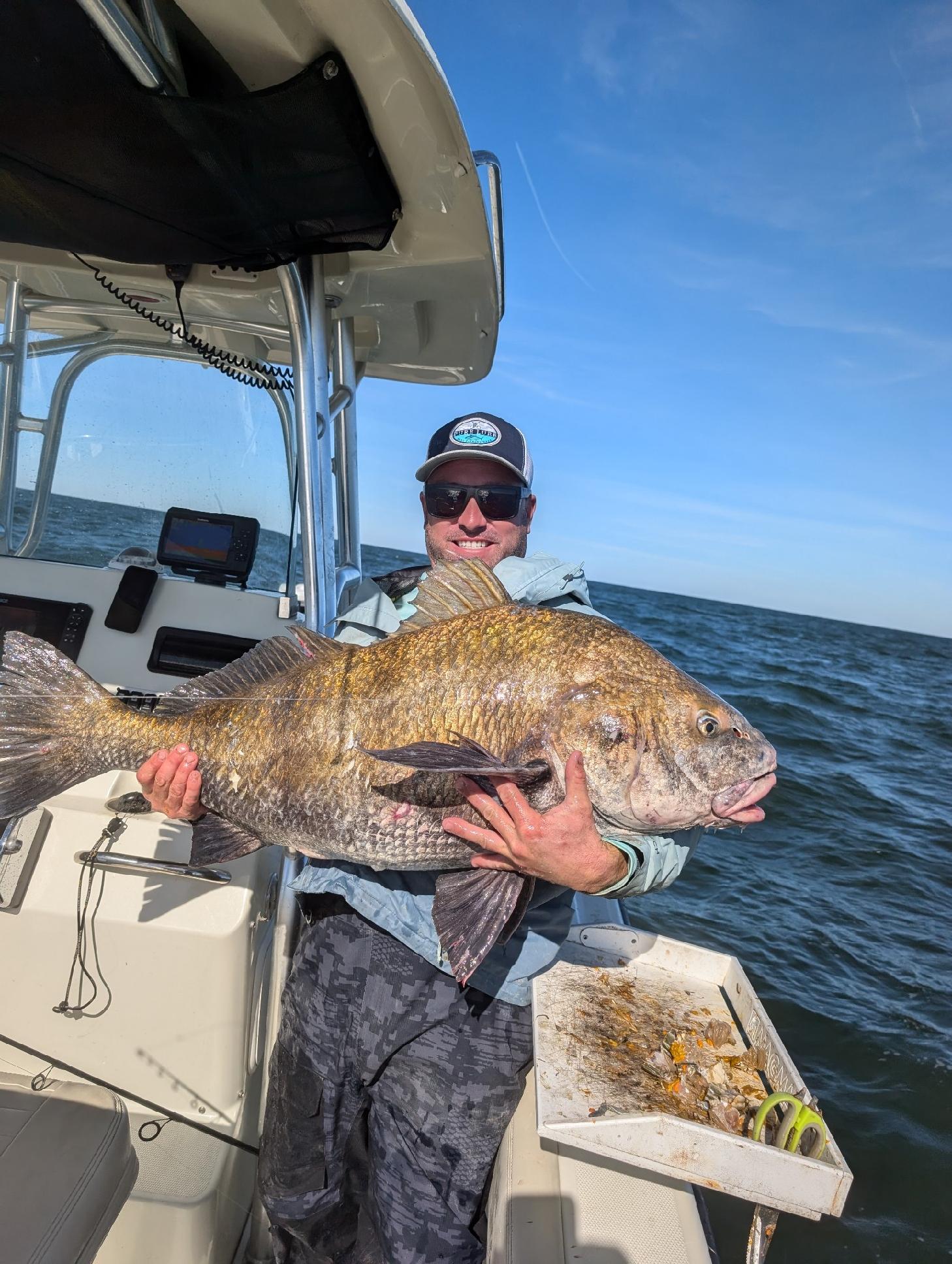 Bluefins, Bluefish and A Huge Black Drum On A Tog Jig