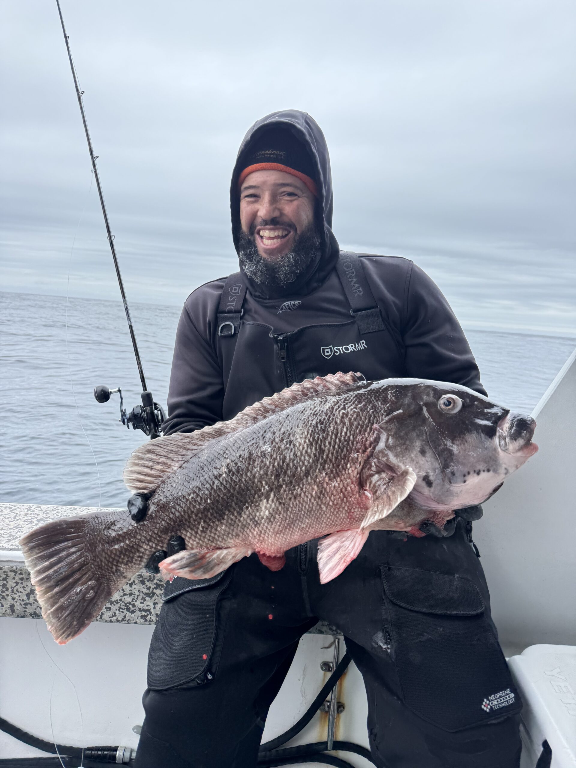 More Jumbo Tautog