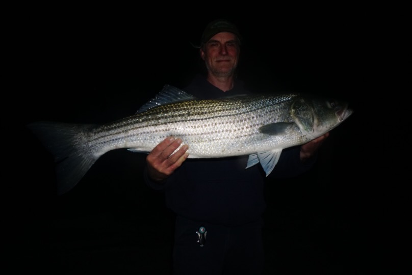 Awesome Sea Bass Fishing and Some Big Stripers From the OC Inlet