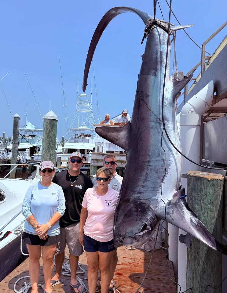 Lady Angler Catches 560 Pound Thresher - Ocean City MD Fishing