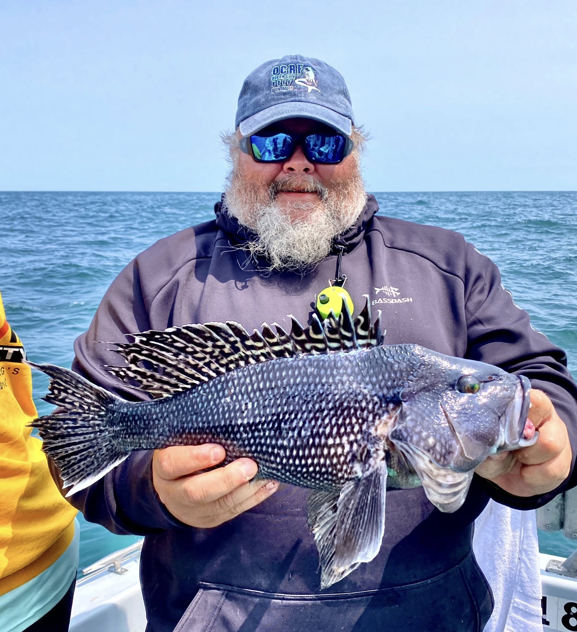 Big Bluefish and Some Big Sea Bass