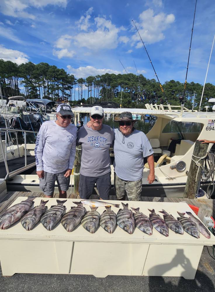 Good Bottom Fishing Bite