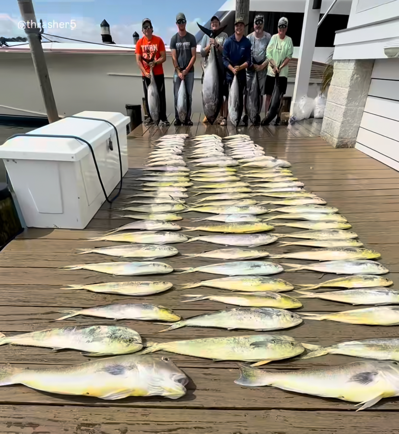 Overnight Tunas and Some Good Bottom Fishing