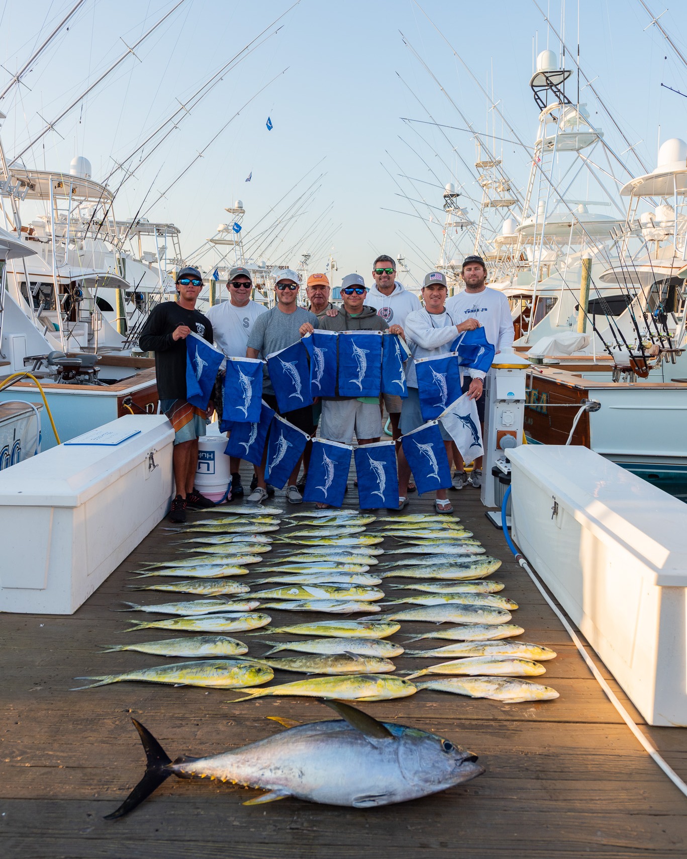 Hopefully These Marlin Stick Around