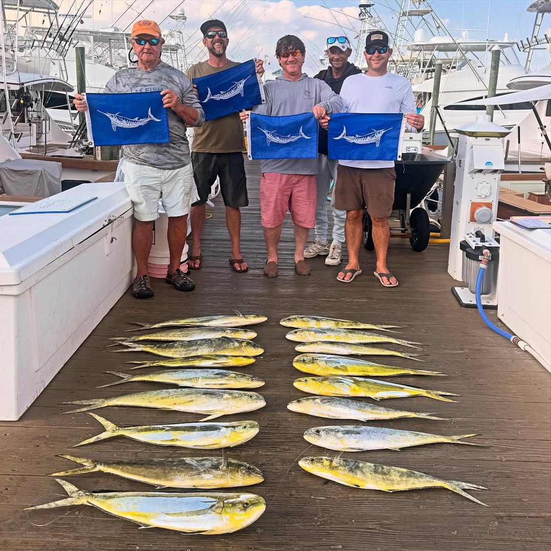 Marlin, Mahi and More Before A Few Days Off
