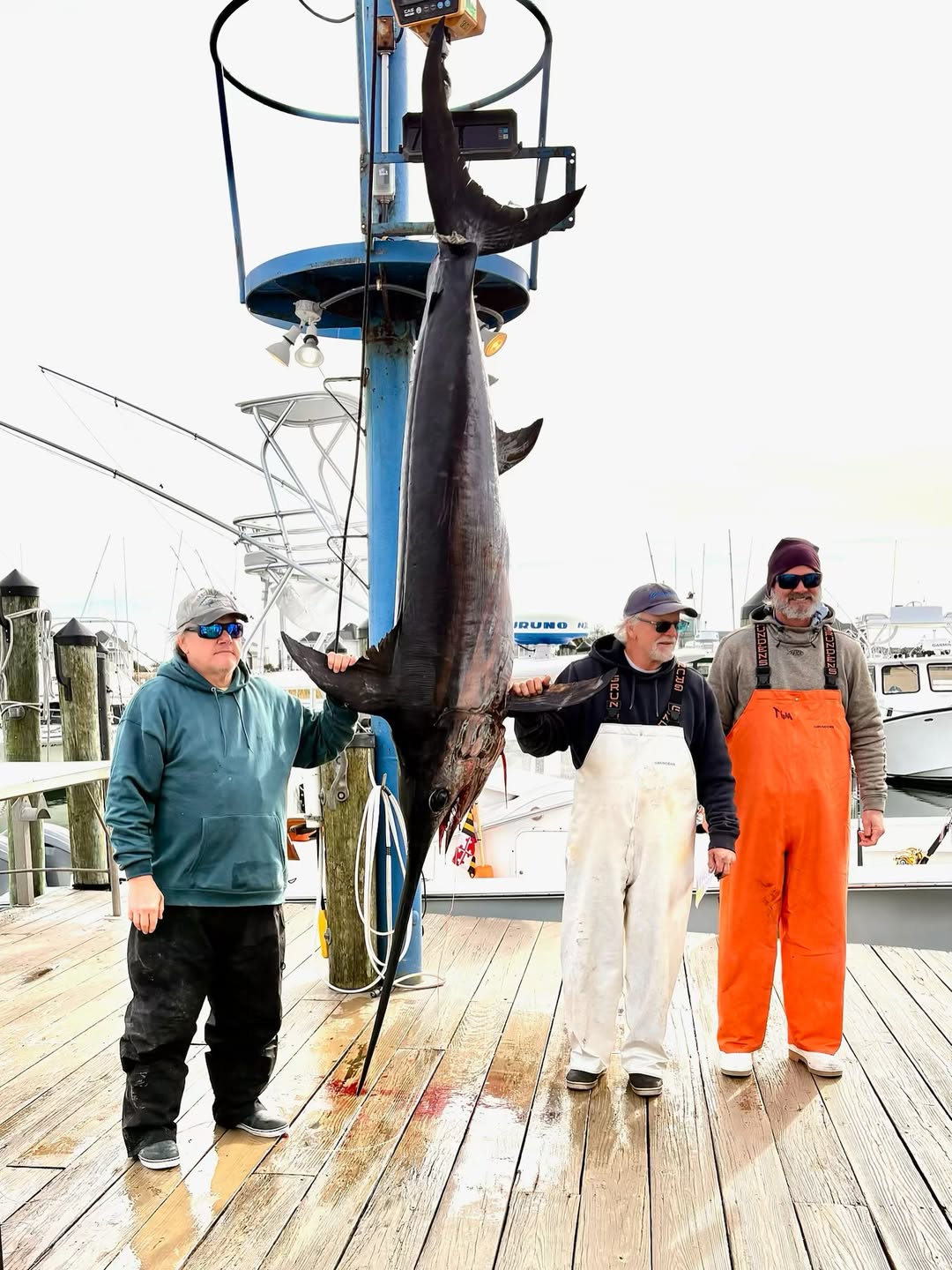 Starting to See Some Swordfish