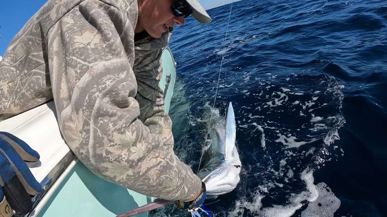 Last White Marlin of the 2025 Season?