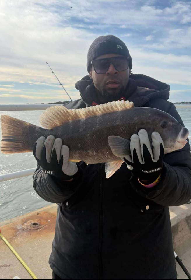 November Back Bay Tautog