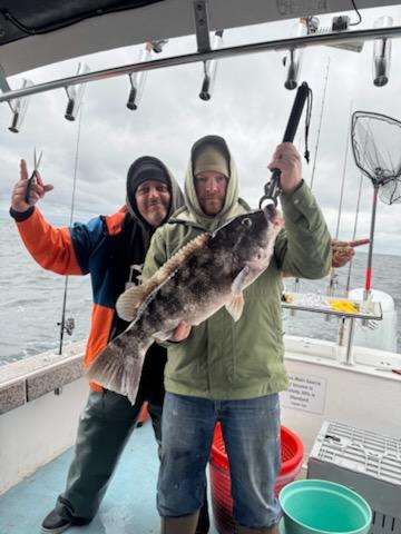 Plenty of Sea Bass and Flounder and Time for Some Bigger Tautog