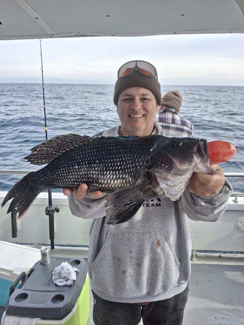 BIG Sea Bass to Close Out the Virginia February Season
