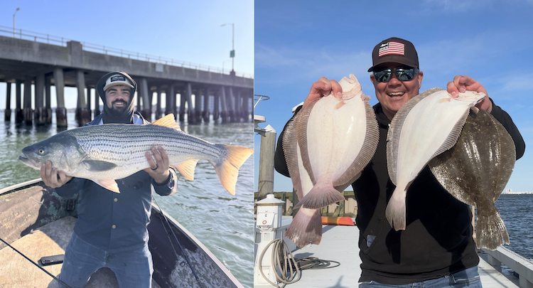 Big Rockfish and Some Flounder Limits in the Back Bay