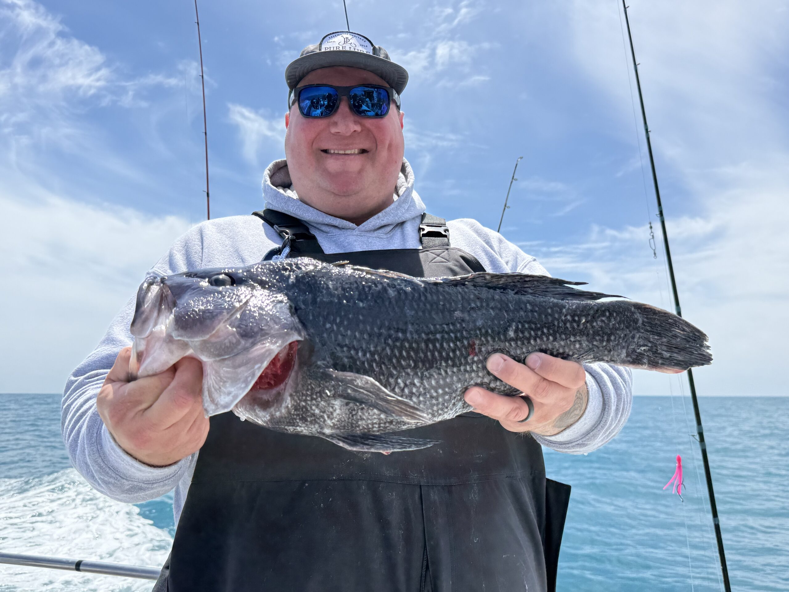 Plenty of Sea Bass to Open the Season With an Almost 6 Pounder in the Mix