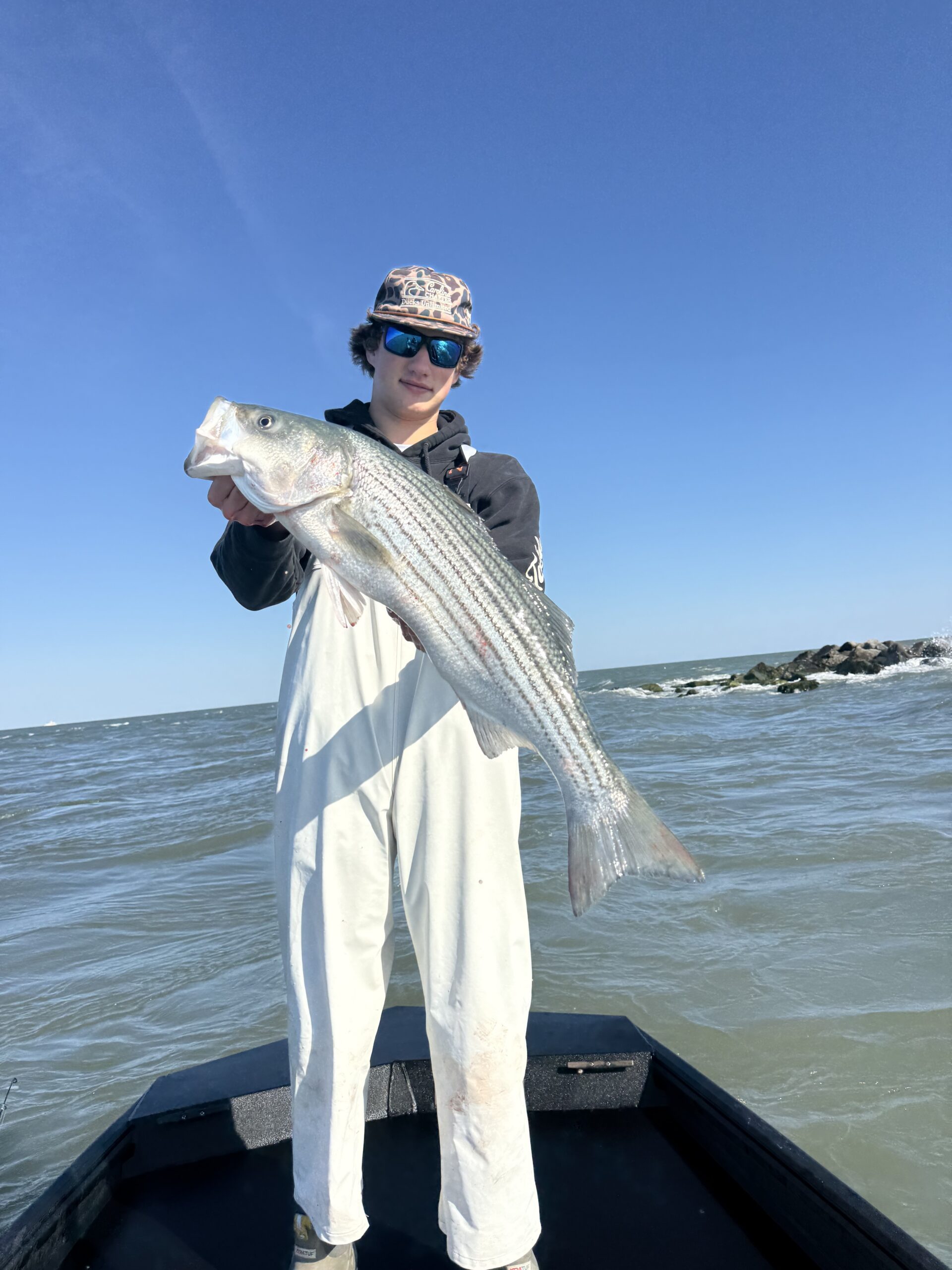 Big Stripers Around