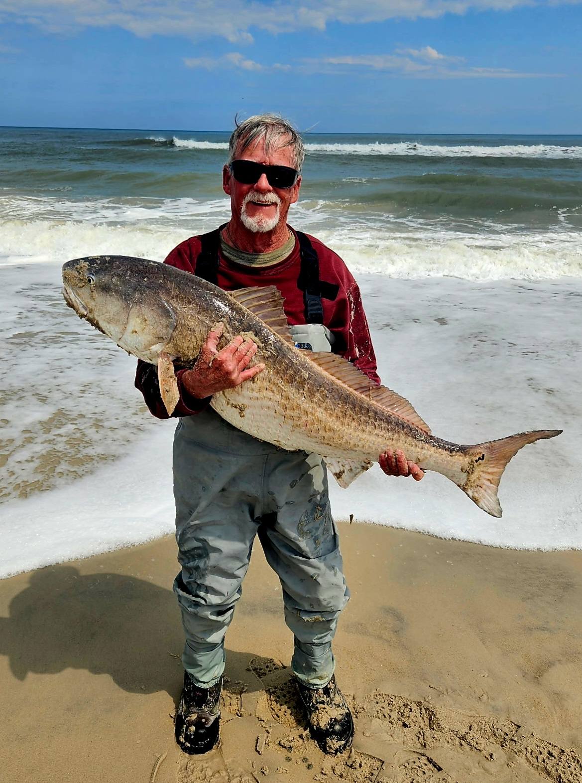 The First Blue Marlin of the Season, A Couple of Sheepshead and Some Big Red Drum in the Surf