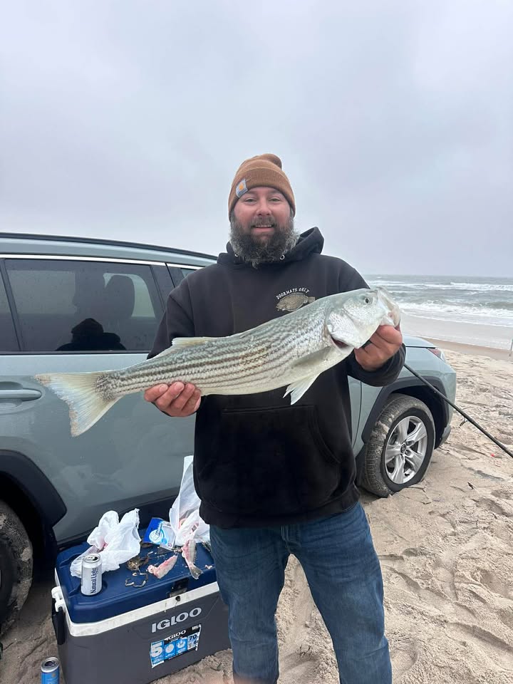 One Lonely Rockfish