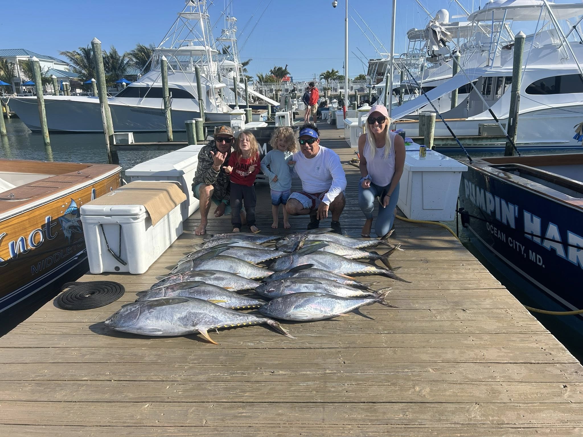 Tuna, Mahi and Thresher Sharks