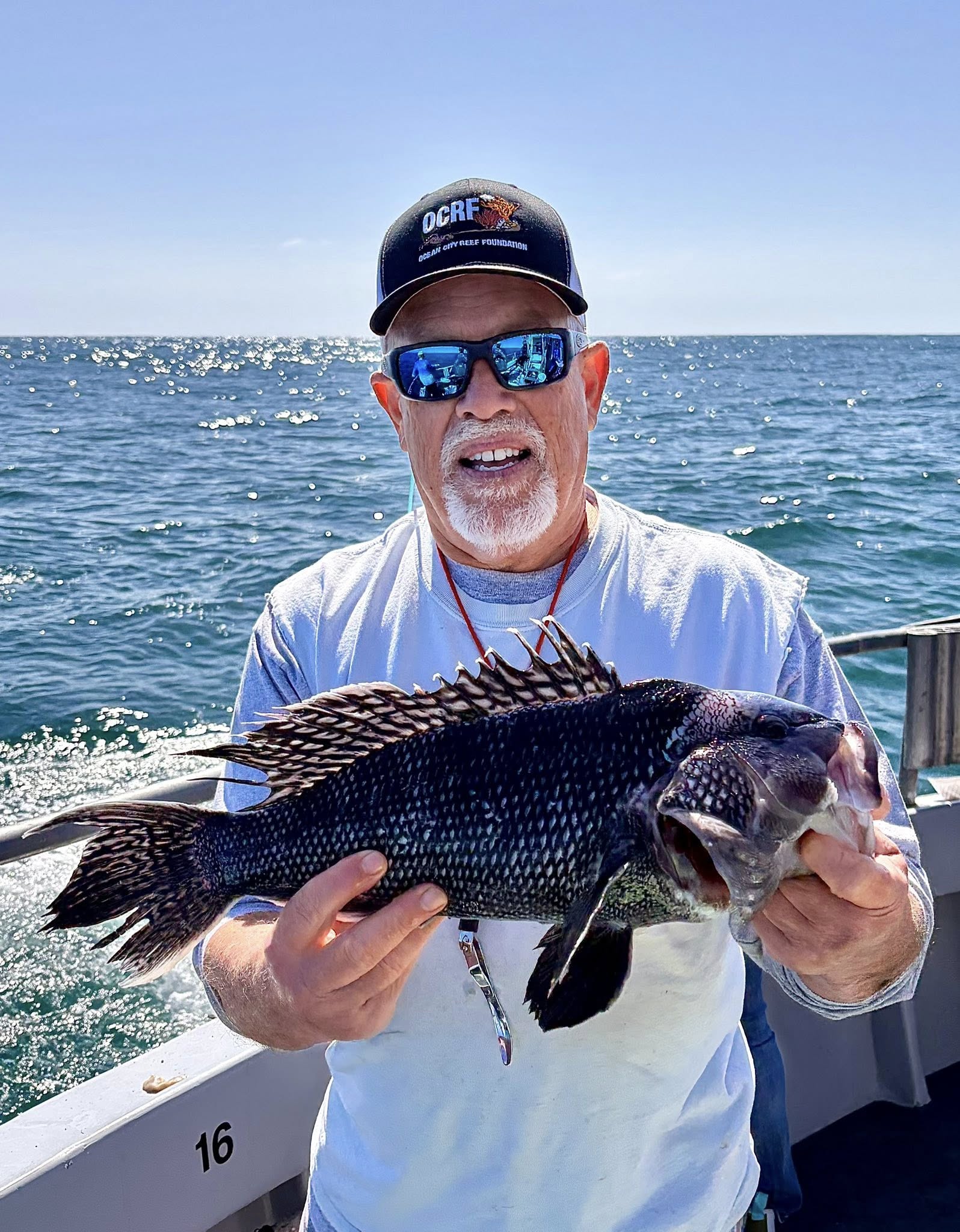 Flounder, Sea Bass and Sheepshead