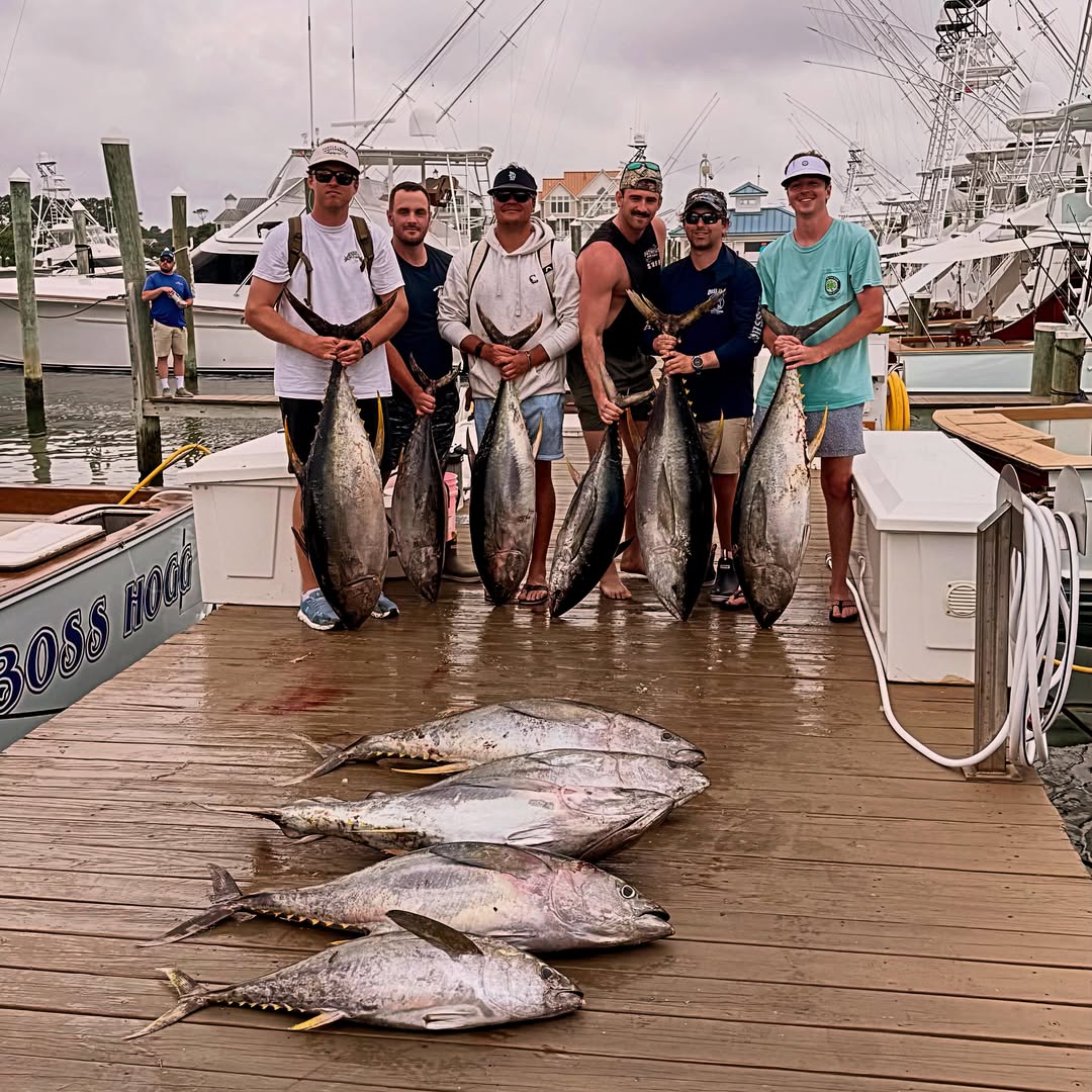 The Tunas are Snapping