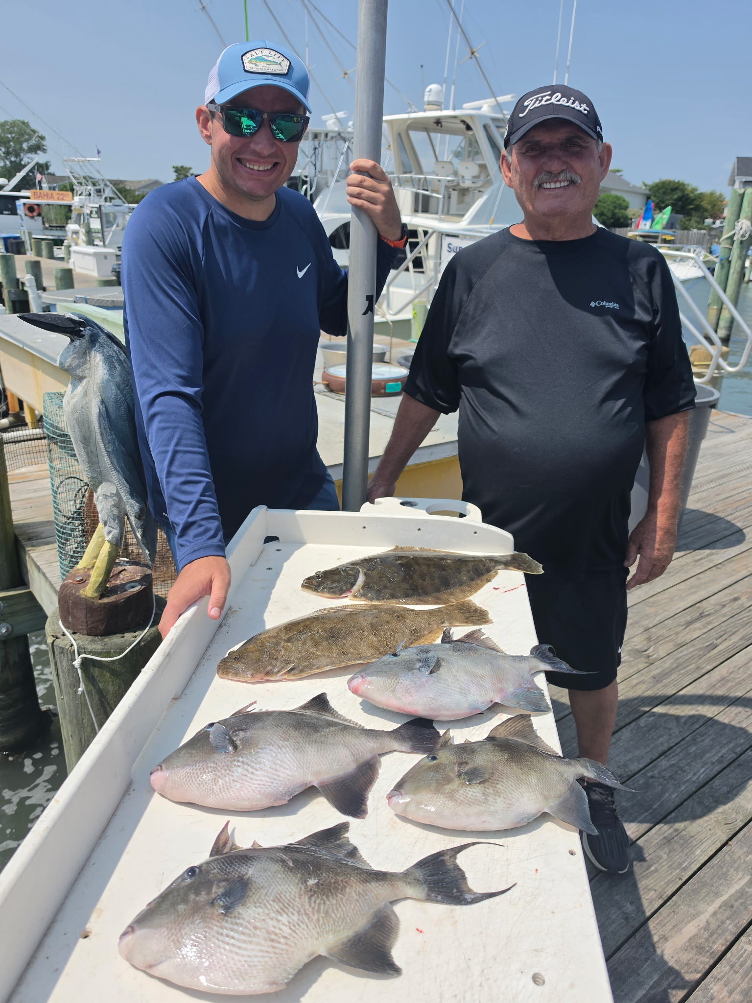 Fish in OC From Around The World
