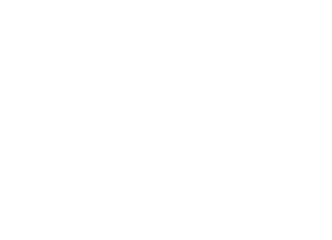 coastal salt logo