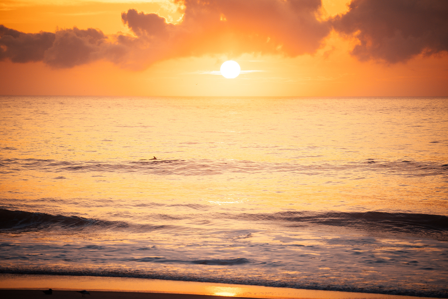 the sun is setting over the ocean on the beach