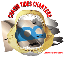 Chasin' Tides Charter