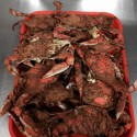 fresh steamed pile crab house