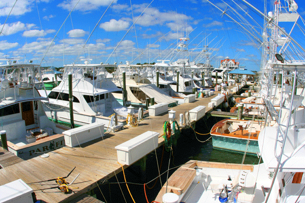 Shot of the sunset marina during middle of the days under a blue sky in OC MD