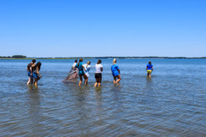 several people are standing in the water with a net
