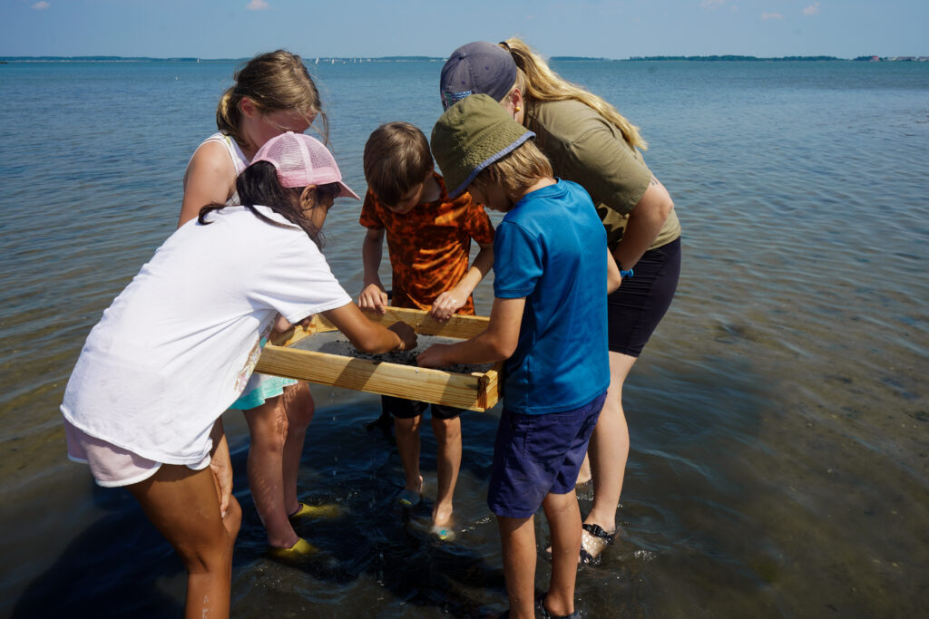 a group of people standing in the water