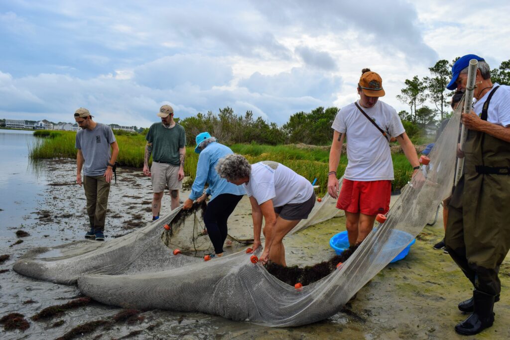 several people standing around a dead animal on the beach