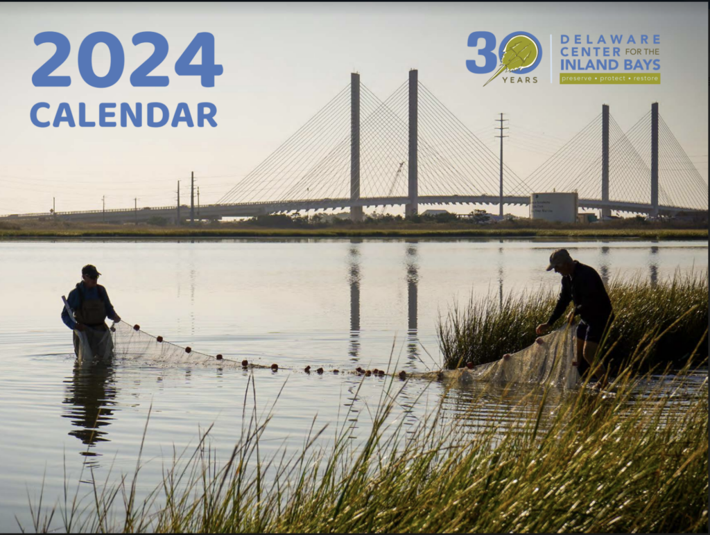two men are in the water with their nets