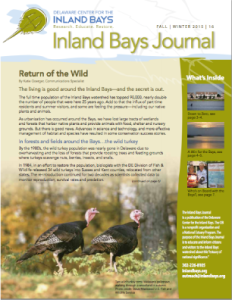 a brochure with two turkeys on it