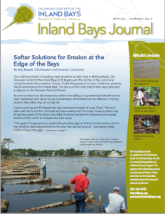 a brochure with people standing on the edge of water