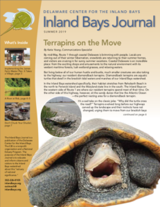 a poster with an image of a turtle
