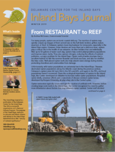 a brochure with images of people on a boat