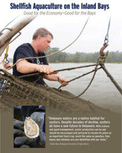 cover of man catching oysters