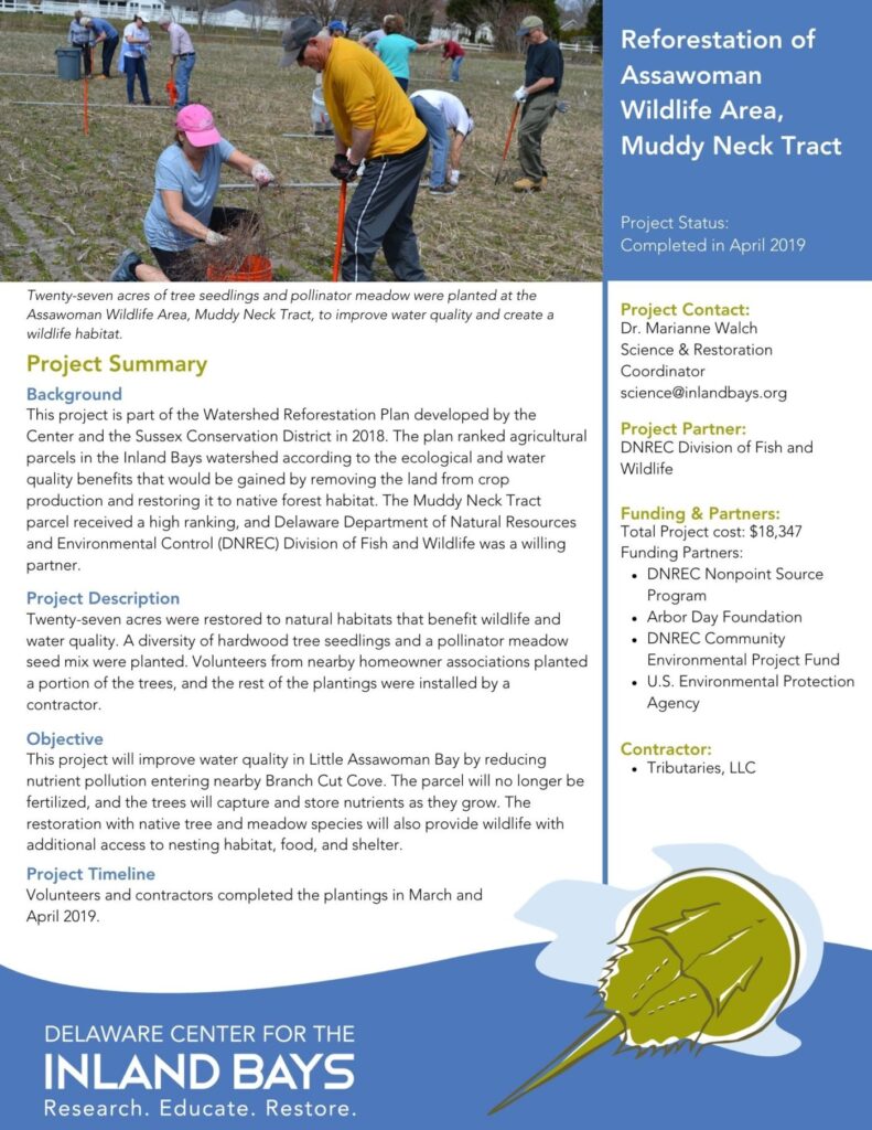 the flyer for the project is shown in blue and white