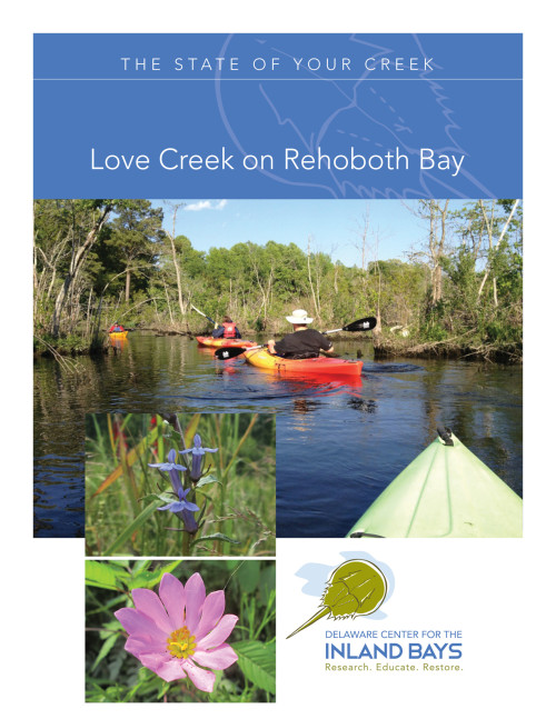 the state of your creek love creek on rehoboth bay