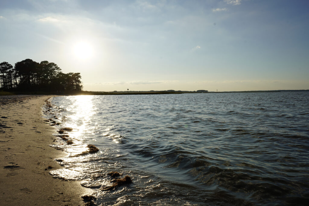 the sun shines brightly over the water at the beach