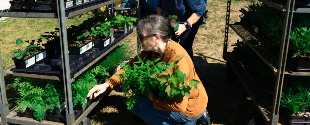 a woman is tending to plants in a greenhouse